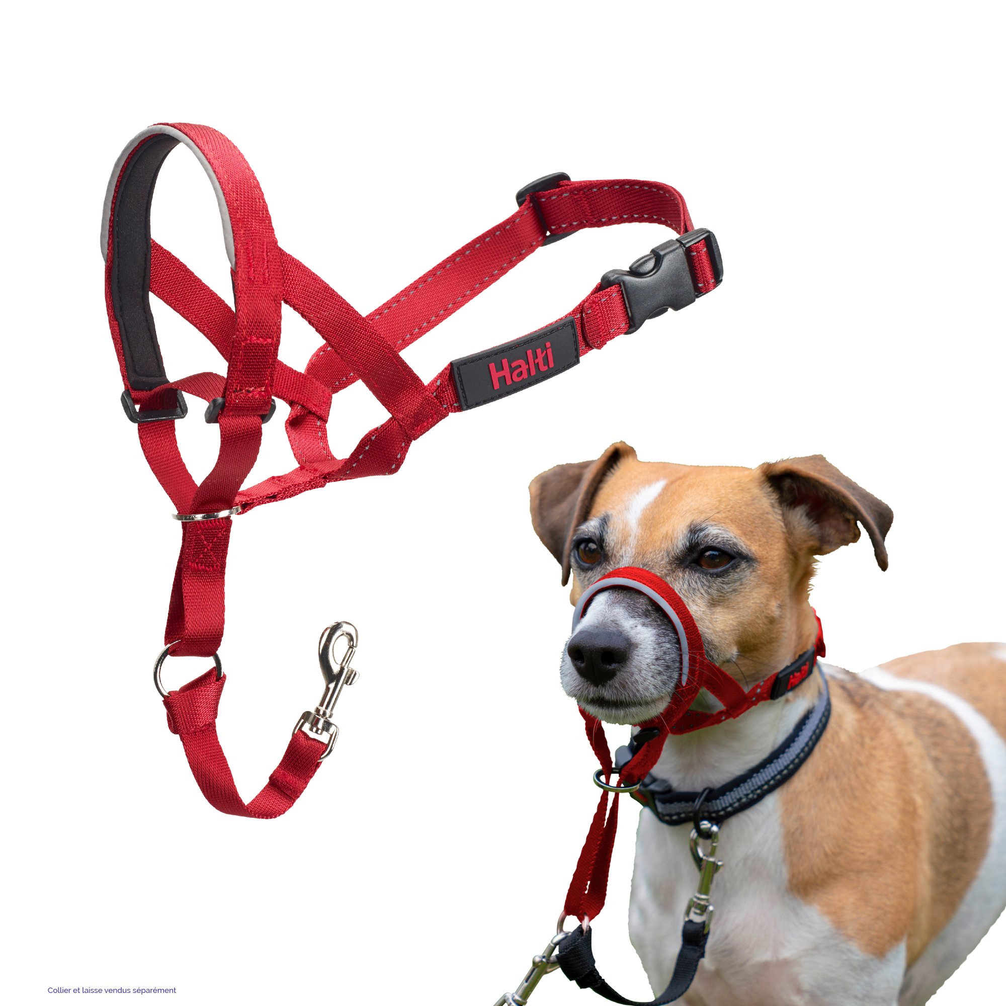 Licol Hati Headcollar - Rouge