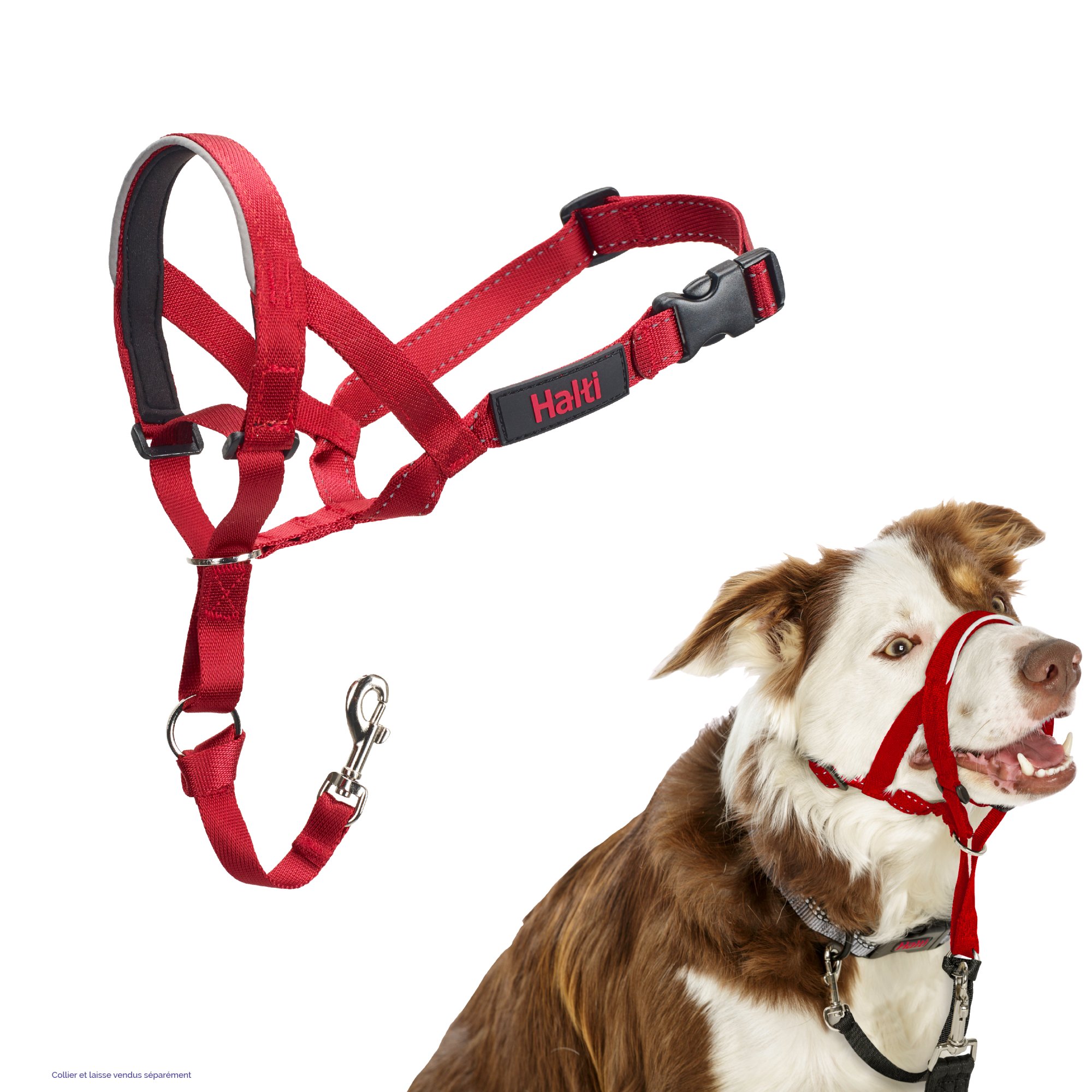 Licol Hati Headcollar - Rouge