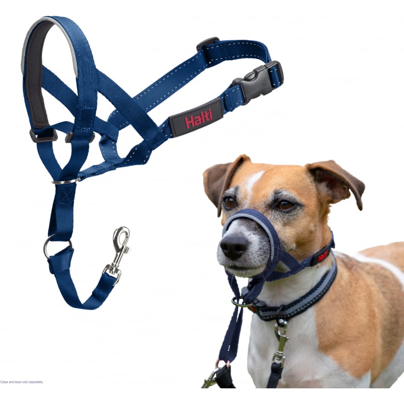 Licol Hati Headcollar - Bleu cobalt