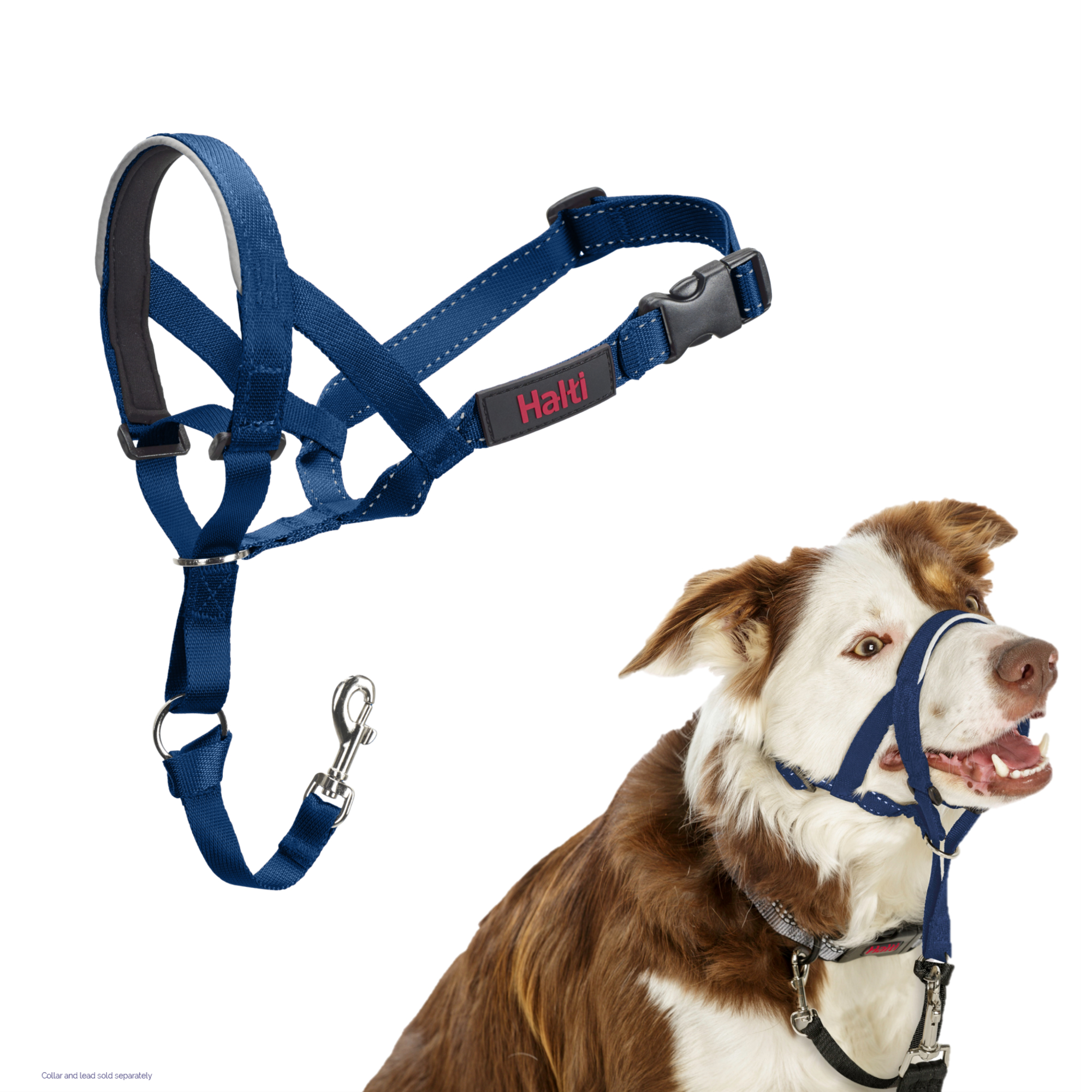 Licol Hati Headcollar - Bleu cobalt