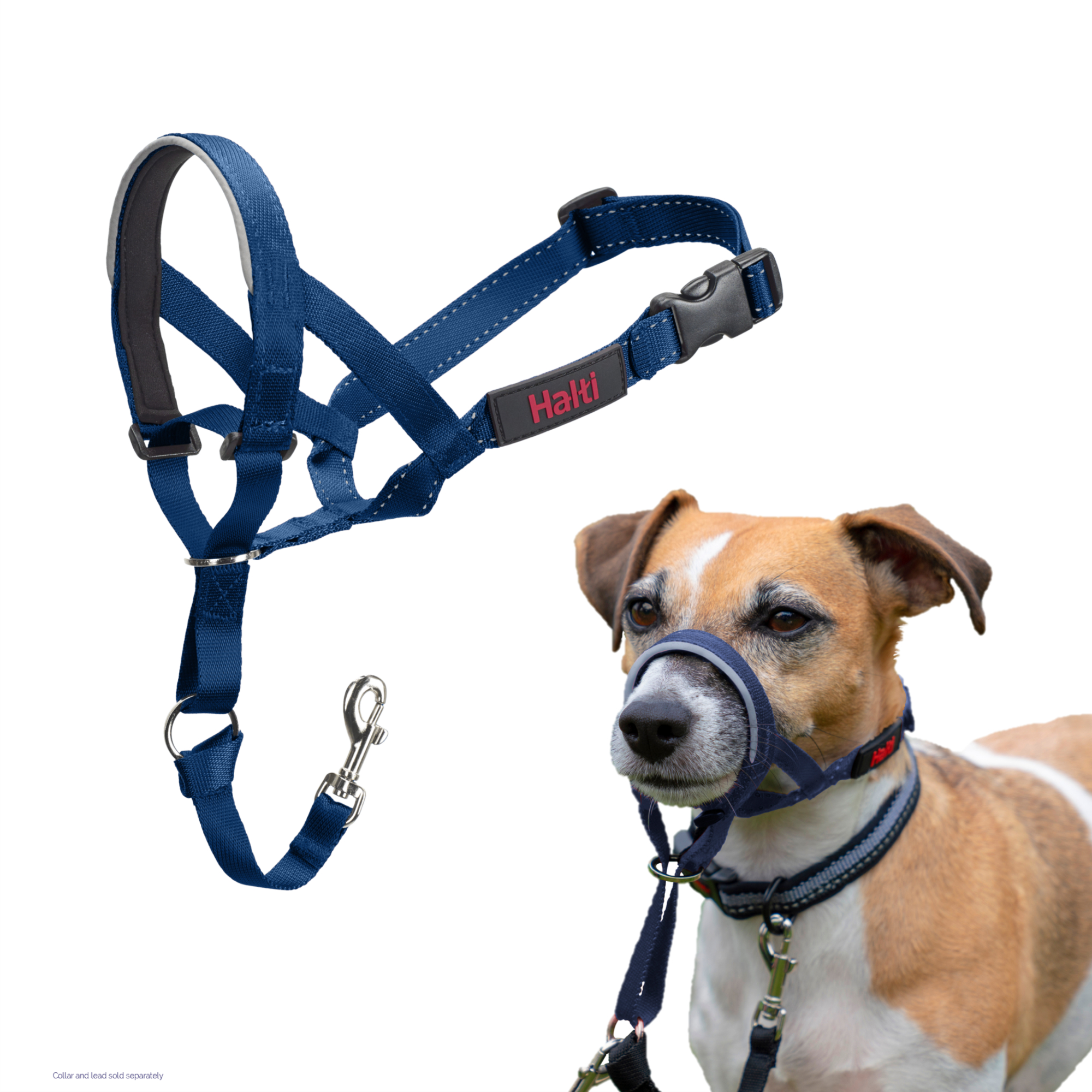 Licol Hati Headcollar - Bleu cobalt