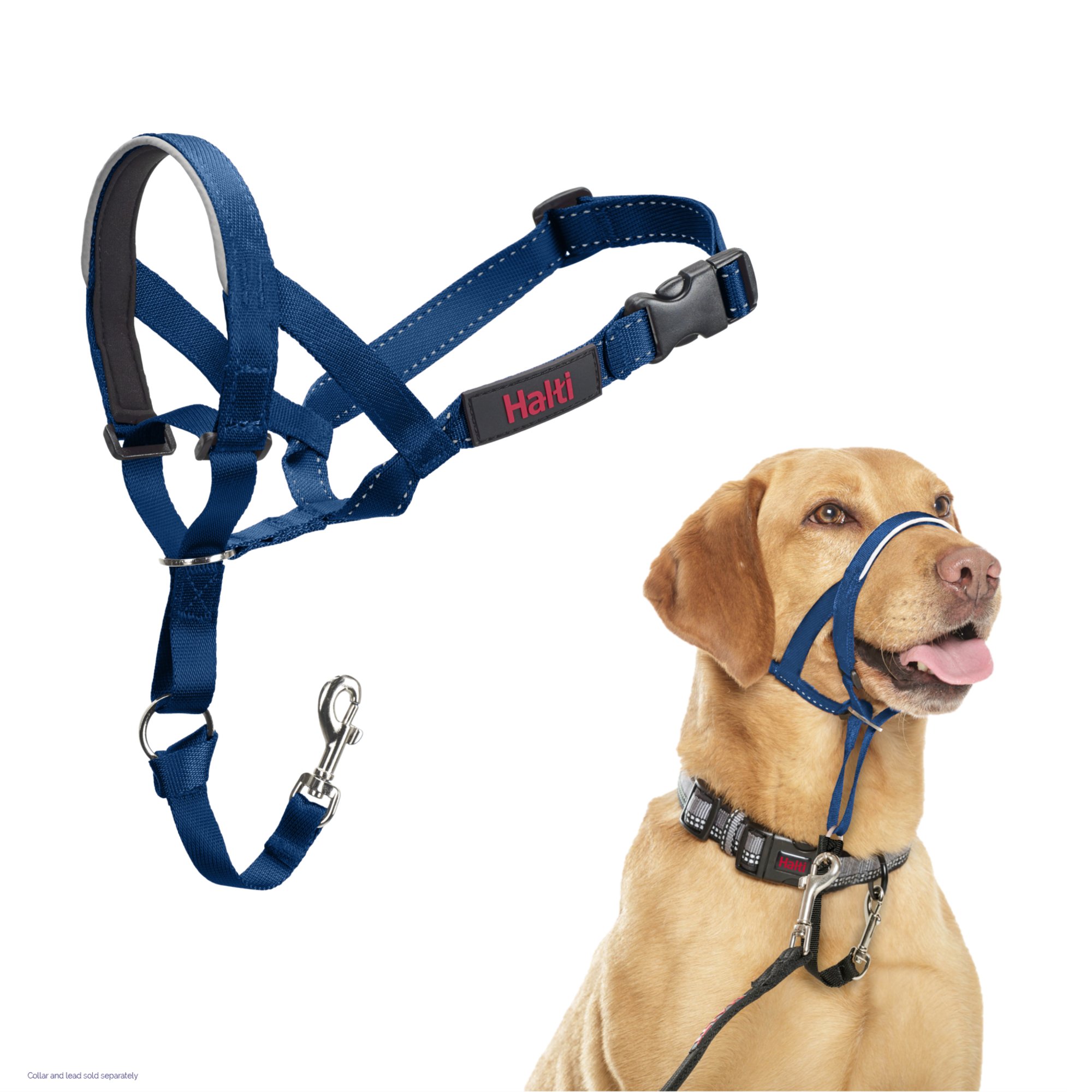 Licol Hati Headcollar - Bleu cobalt