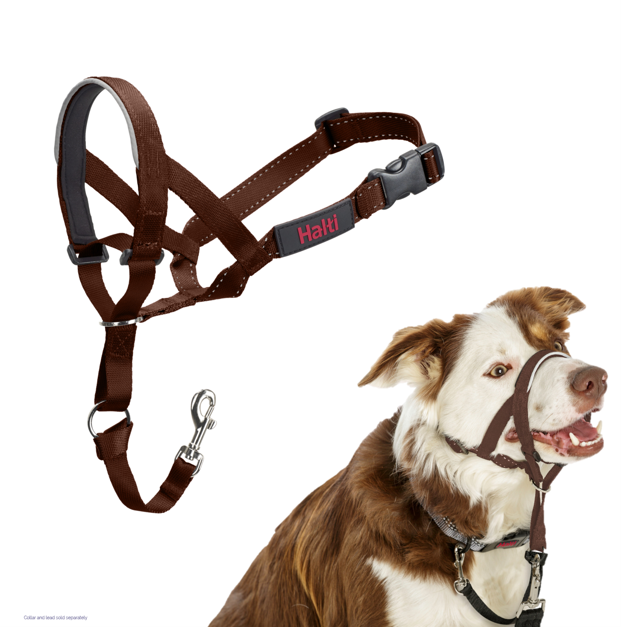 Licol Hati Headcollar - Marron noix