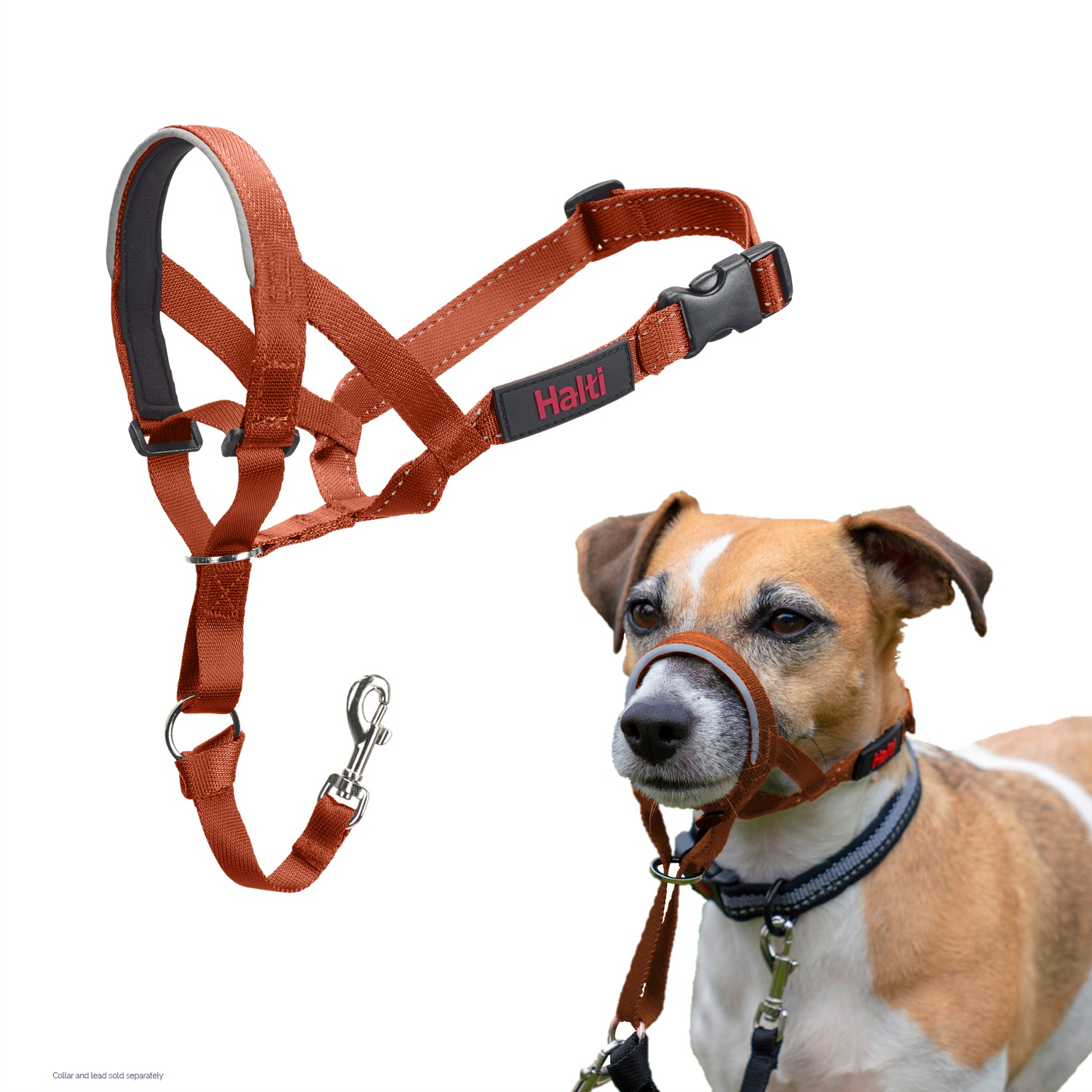 Licol Hati Headcollar - Orange