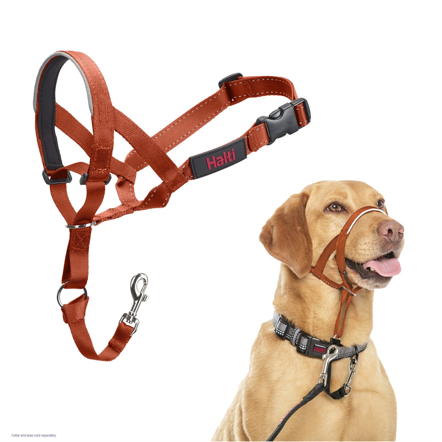 Licol Hati Headcollar - Orange