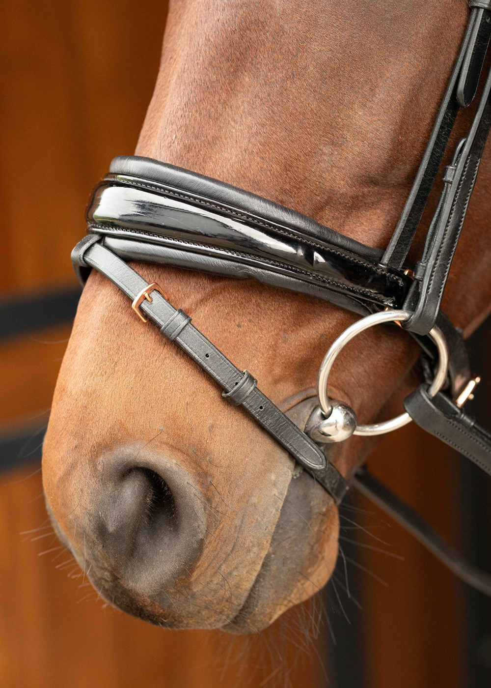 HARRY'S HORSE Bridon Rosegold Lacque II