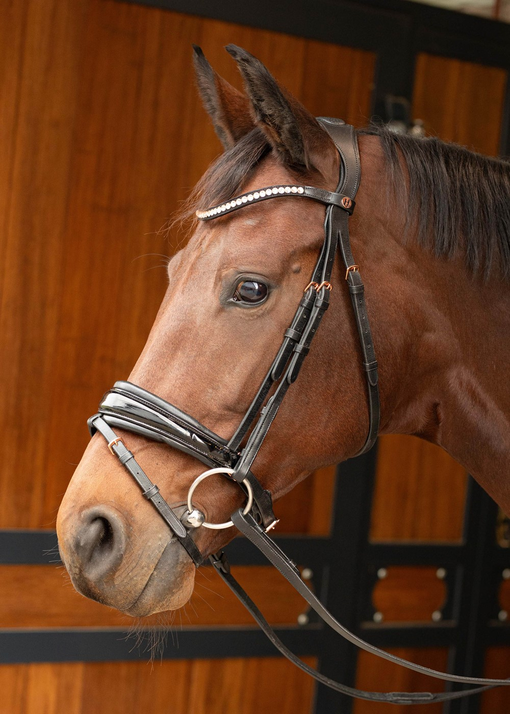 HARRY'S HORSE Bridon Rosegold Lacque II