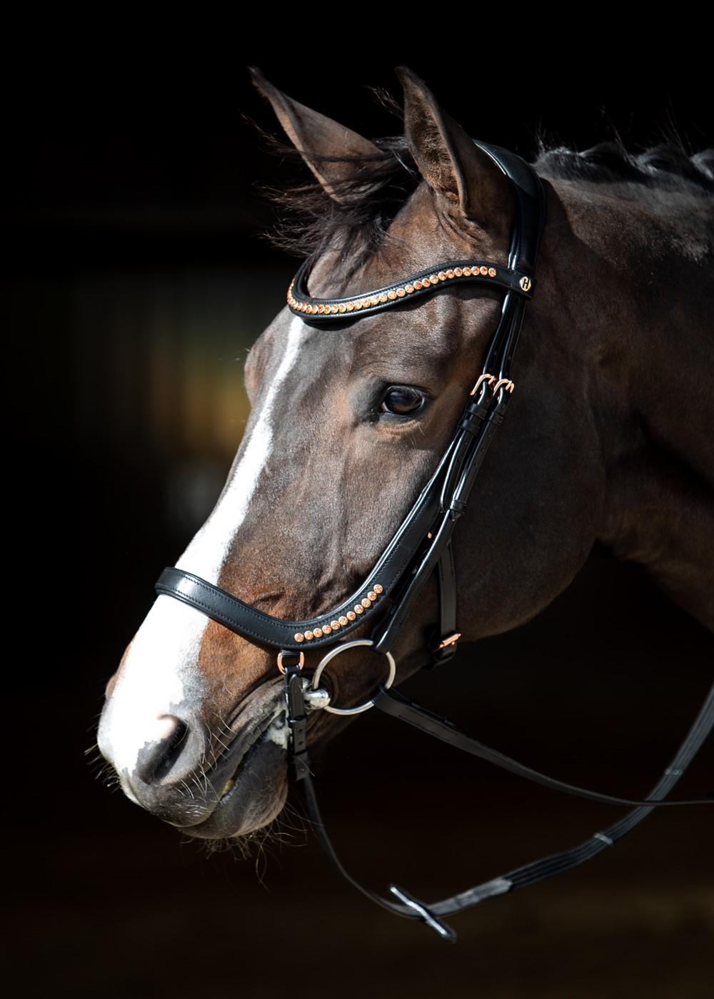 HARRY'S HORSE Bridon Anatomique Rosegold