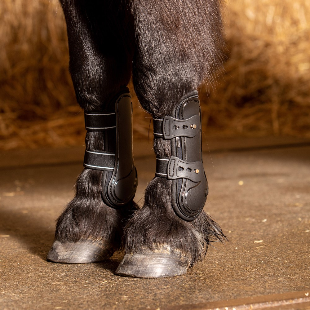 HARRY'S HORSE Guêtres Pinlock noir pour shetland