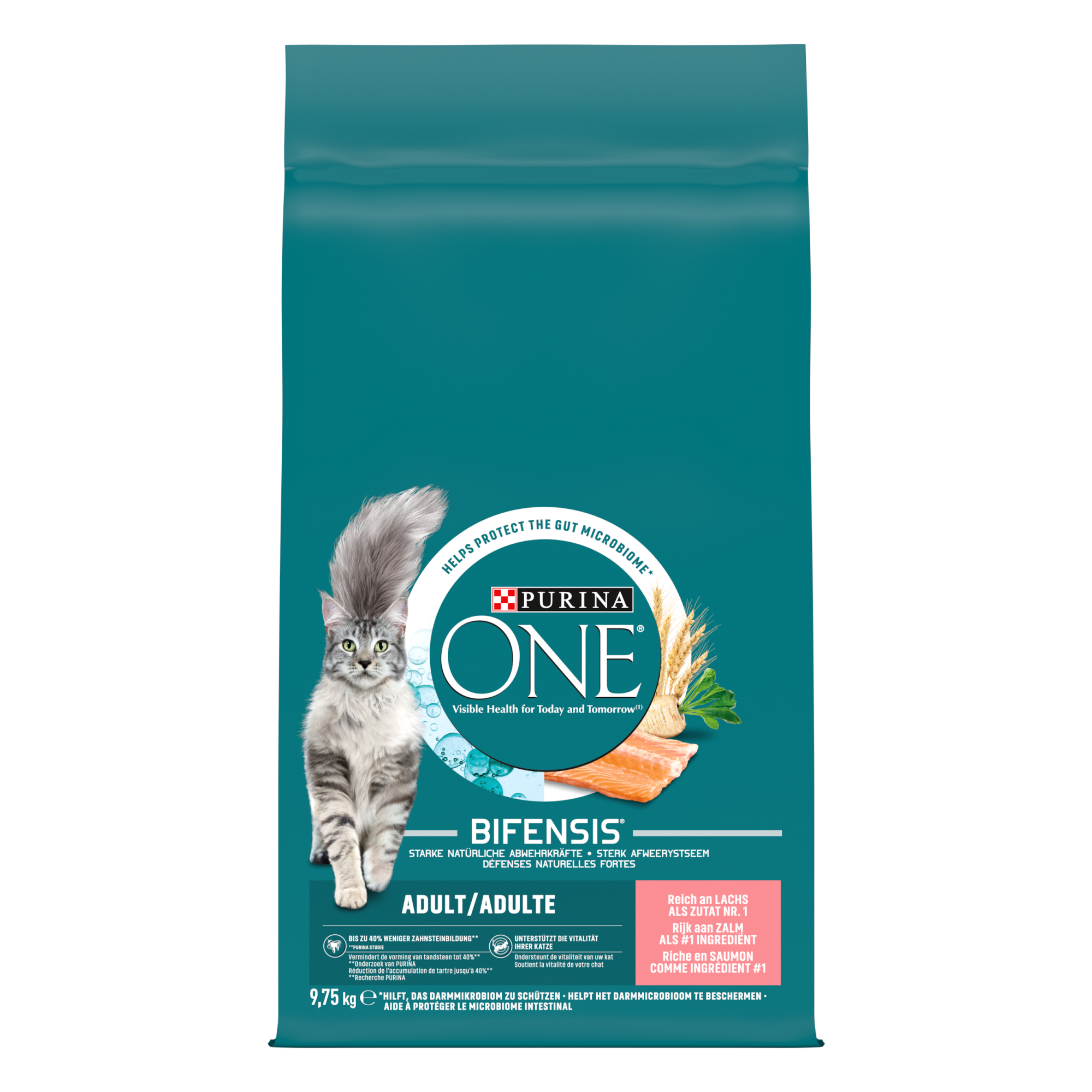 PURINA ONE Chat Adulte Bifensis Saumon