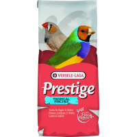 Tropical Finches Prestige - pájaros exóticos