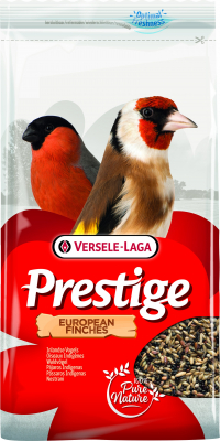 European finches - Pájaros europeos 