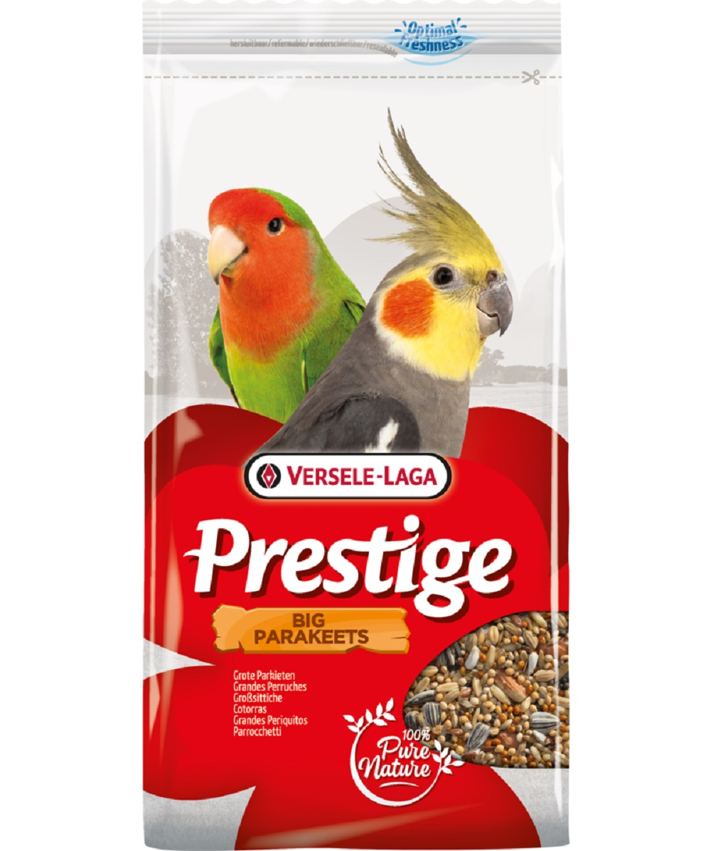 Big Parakeets Prestige Grandes Piriquitos