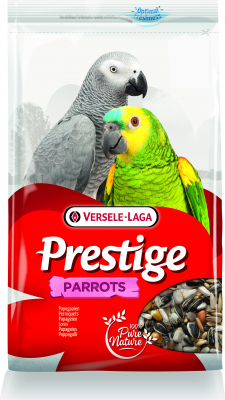 Parrots Prestige Perroquets
