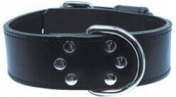 Collar Para Perro Intervention Nu Negro 50 Mm 60 Cm