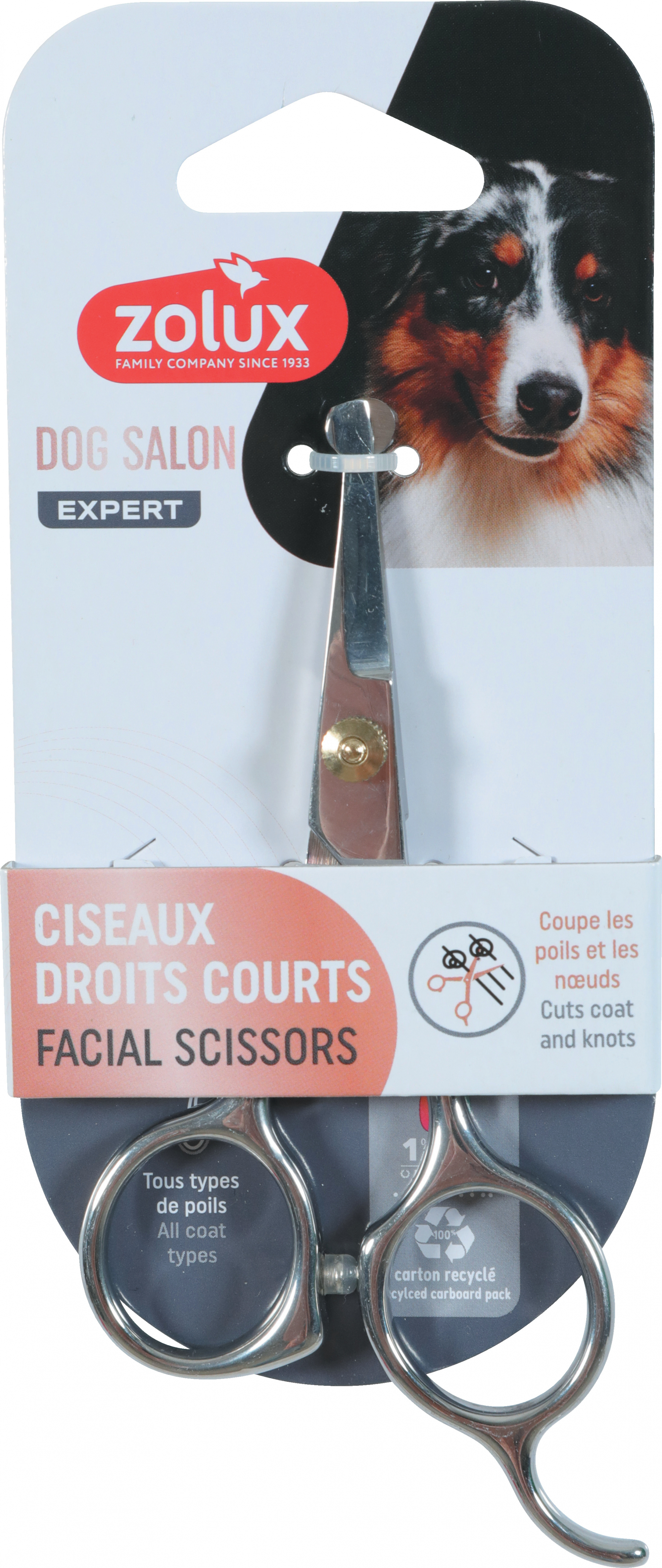 Zolux Ciseaux droits courts en acier pour chien