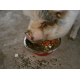 Aliment-pour-cochons-vietnamiens-et-cochons-nains-Pet-Pig-Muesli-_de_jacqueline_20639874175a6772820646c8.58922989
