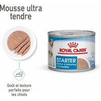 Pâtée Royal Canin Starter Mousse Mother and Baby Dog