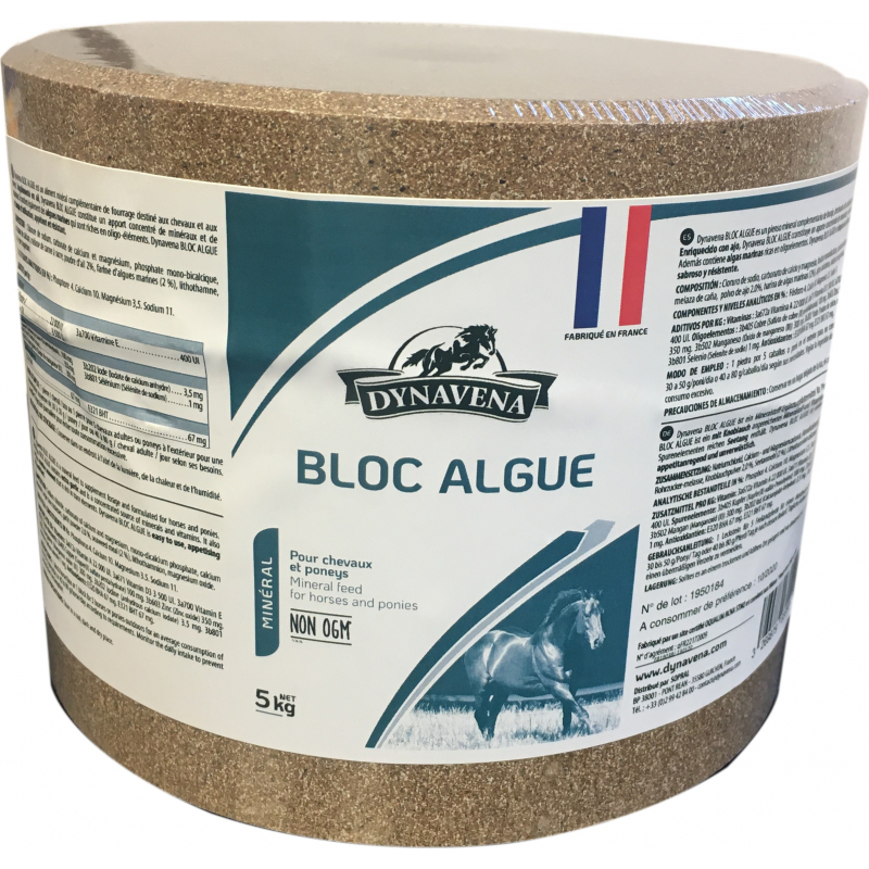 Dynavena Bloc d'Algue pour chevaux et poneys