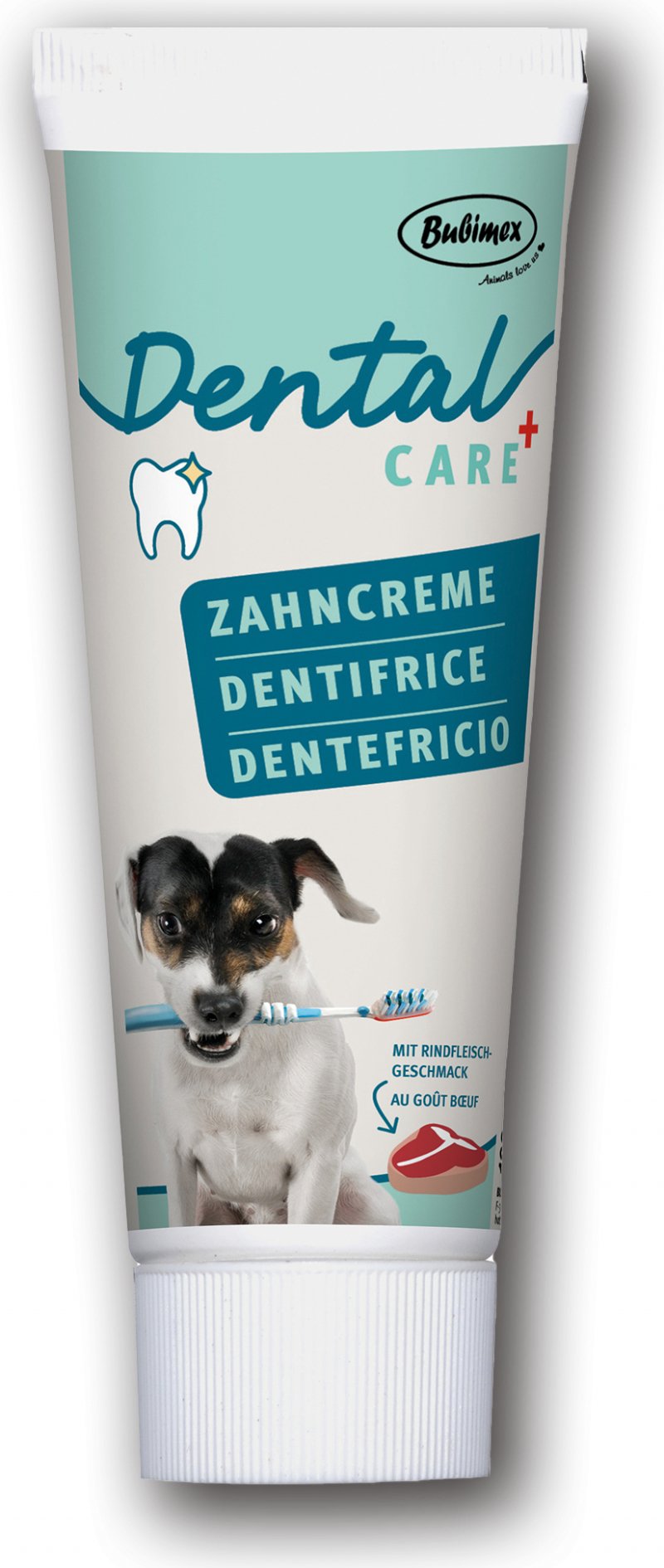 Bubimex Dentifrice goût bœuf pour chien