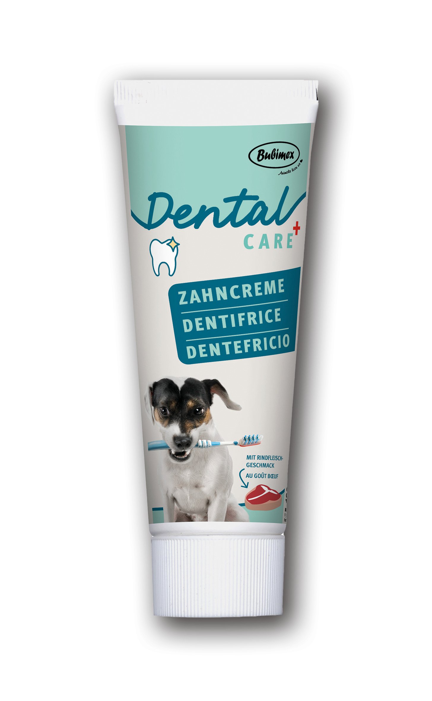 Bubimex Dentifrice goût bœuf pour chien