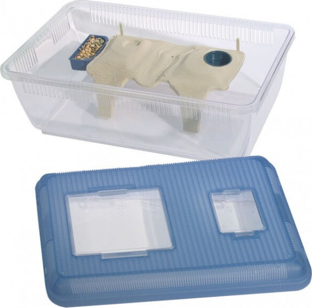 Rodeo 16 - boîte de transport pour rongeurs en plastique transparente couvercle bleu