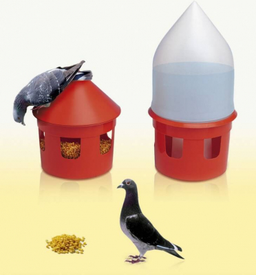 Mangeoire et siphon rouge pour pigeons LOCRI