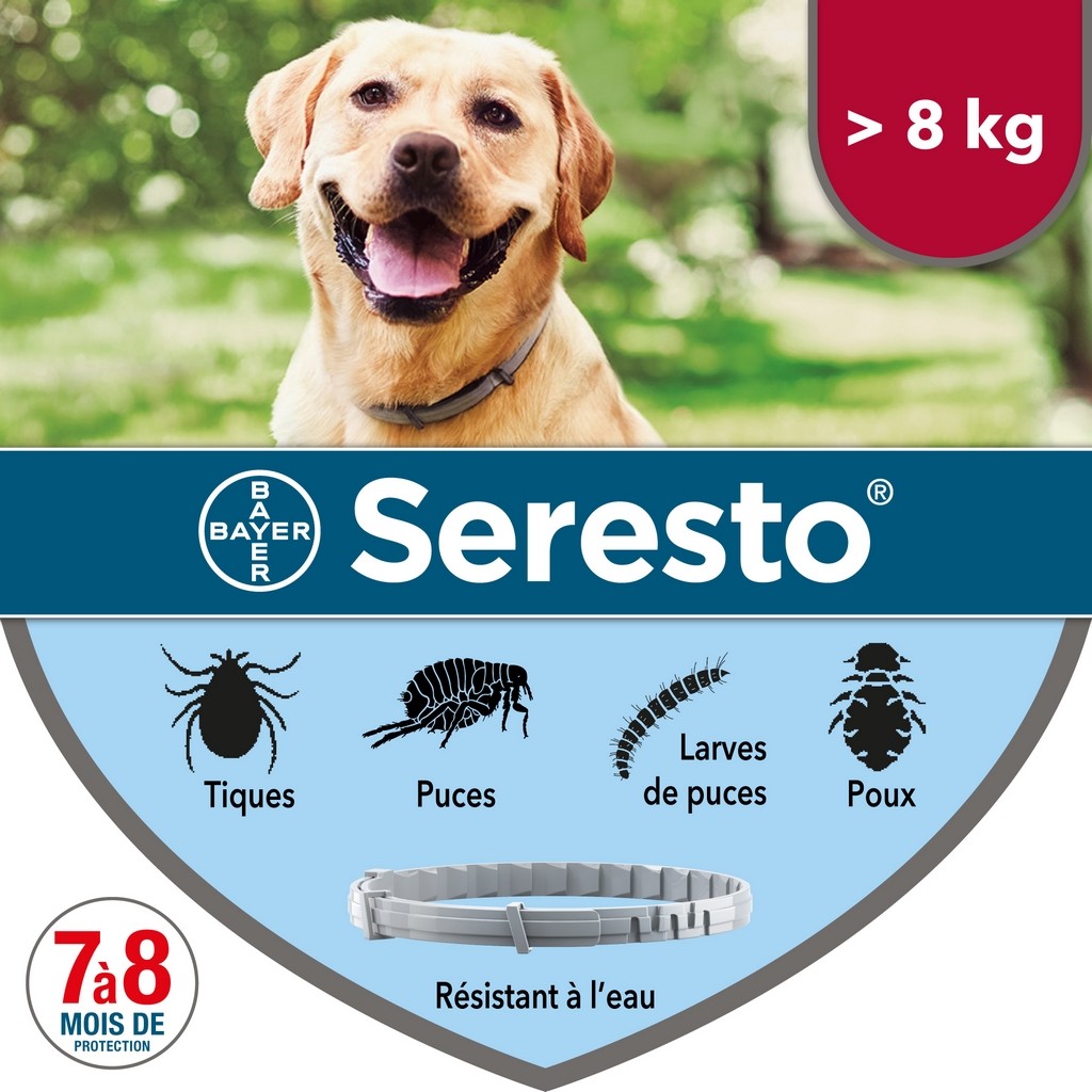 het ergste Transplanteren Op maat Seresto vlooienband voor honden