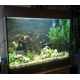 JUWEL-Aquarium-LIDO-120-LED-bois-fonce_de_frederic_1745404585a9da565110c76.75383986
