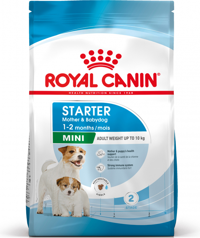 Royal Canin Mini Starter Mother & Baby - Cuccioli e femmine in gravidanza/allattamento (fino a 2 mesi)