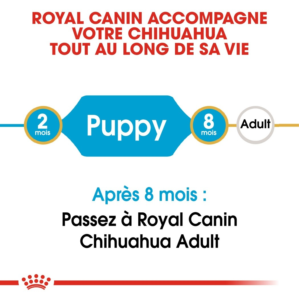 Royal Canin Breed Chihuahua Junior