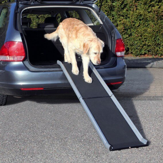 Rampe télescopique pour chiens - aide d´accès à la voiture pour