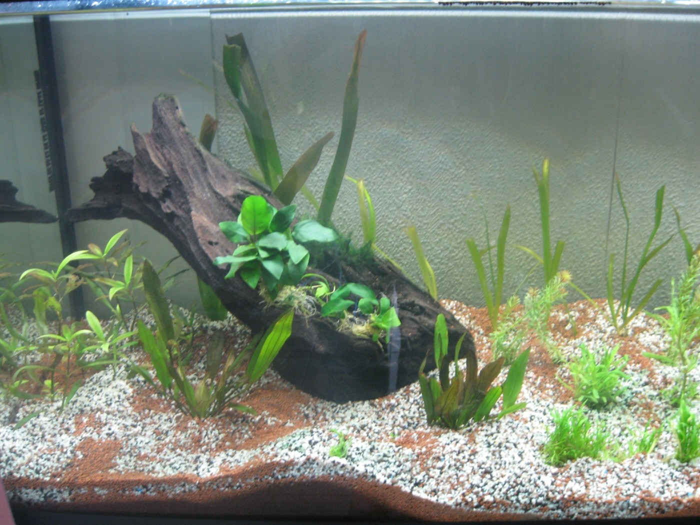 Substrat de sol pour aquarium Manado. Le sac de 5 litres : JBL JBL