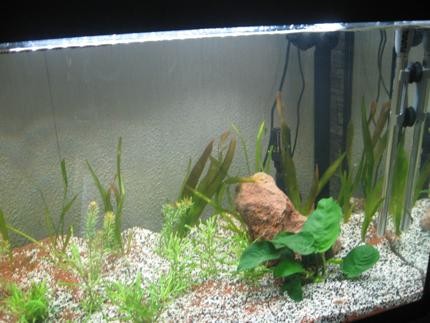 JBL Substrat de fond rouge pour aquariums d'eau …