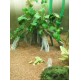 1863_Substrat-naturel-pour-aquarium---Manado_de__213452205854ed9d1a4db499.83807863