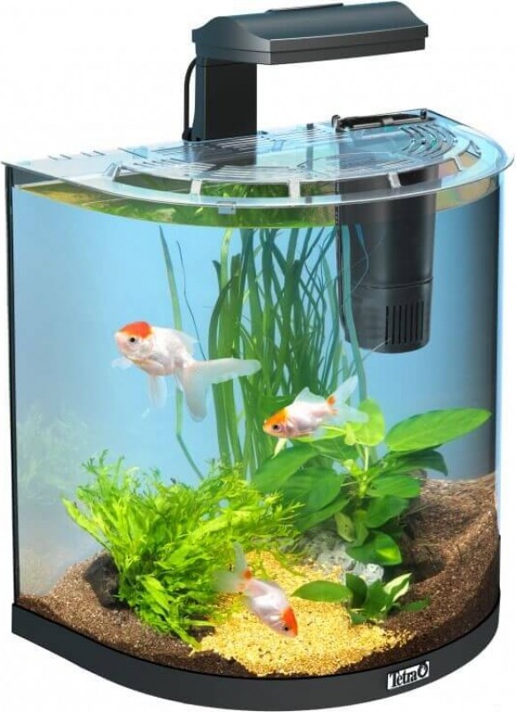 Tetra AquaArt Explorer Line Aquarium Set 30L - Goldfisch