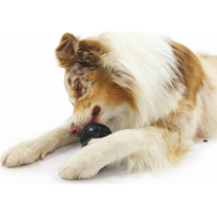 Kong Extreme Brinquedo para Cão 5 tamanhos - borracha sólida para cães adultos energéticos