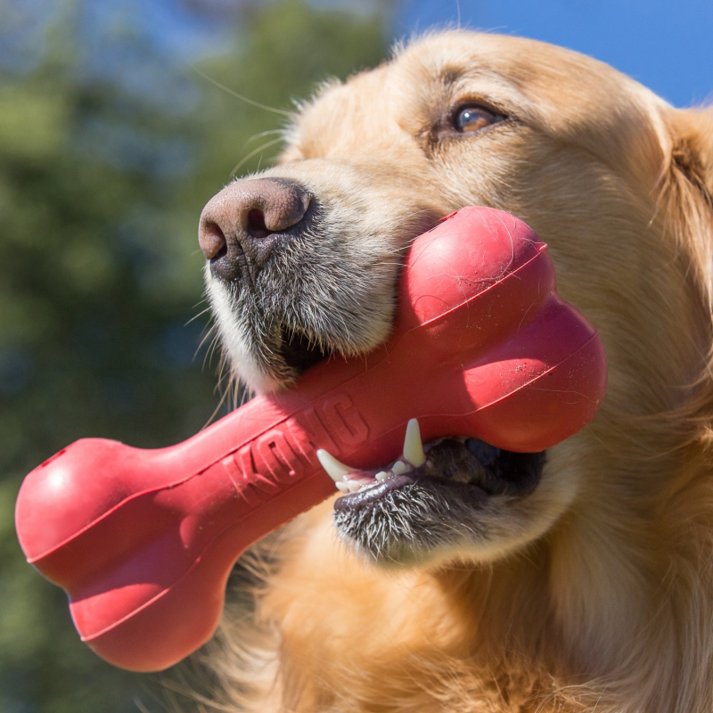 KONG Goodie Bone in 3 Größen - Gummi-Knochen für Hunde