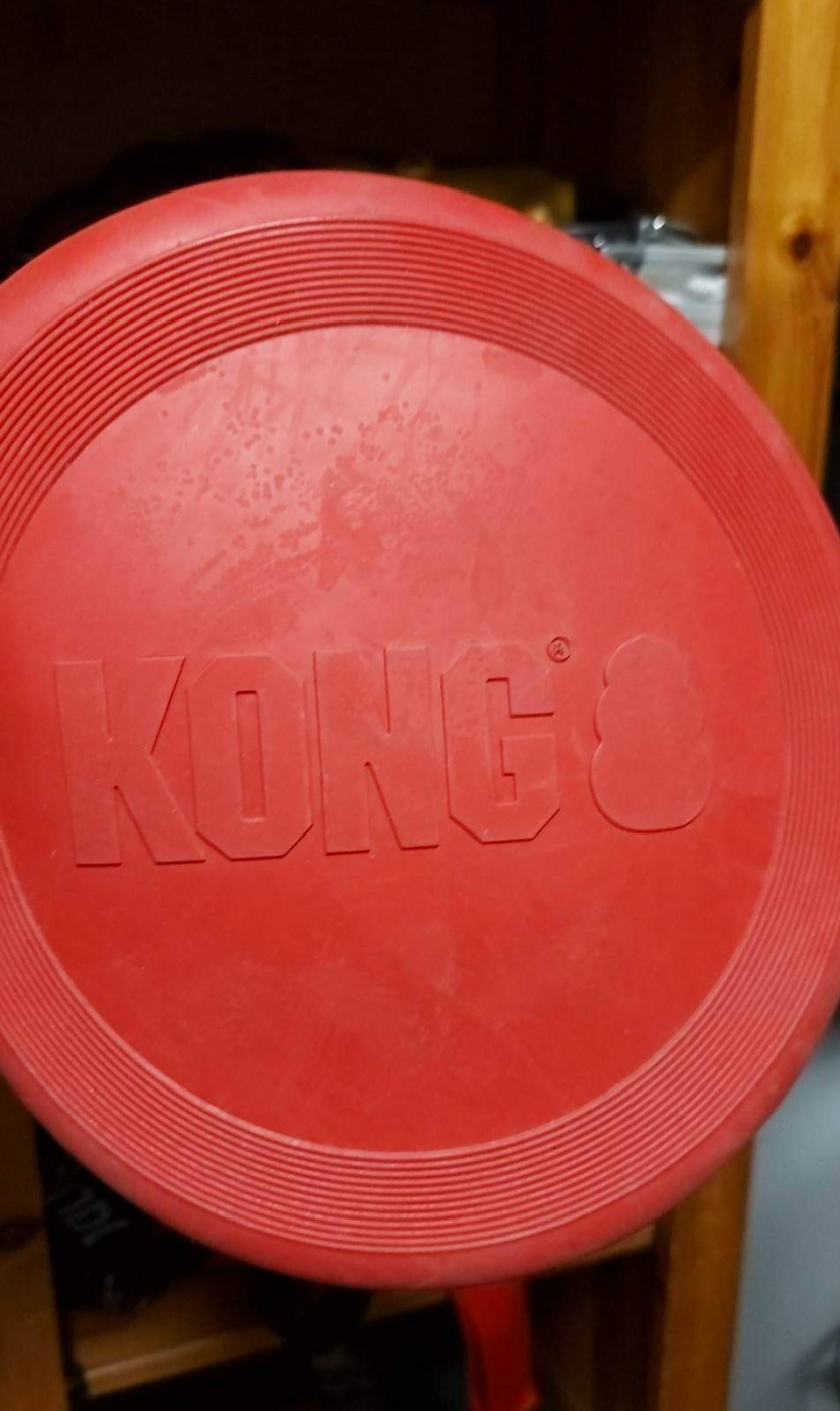 KONG chien Classic Flyer 2 tailles - frisbee souple et résistant