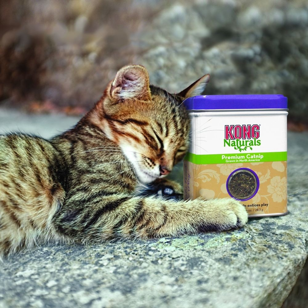 KONG Naturals Premium Catnip para gatos - 56gr -