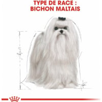 Royal Canin Breed Bichon Maltais Adult