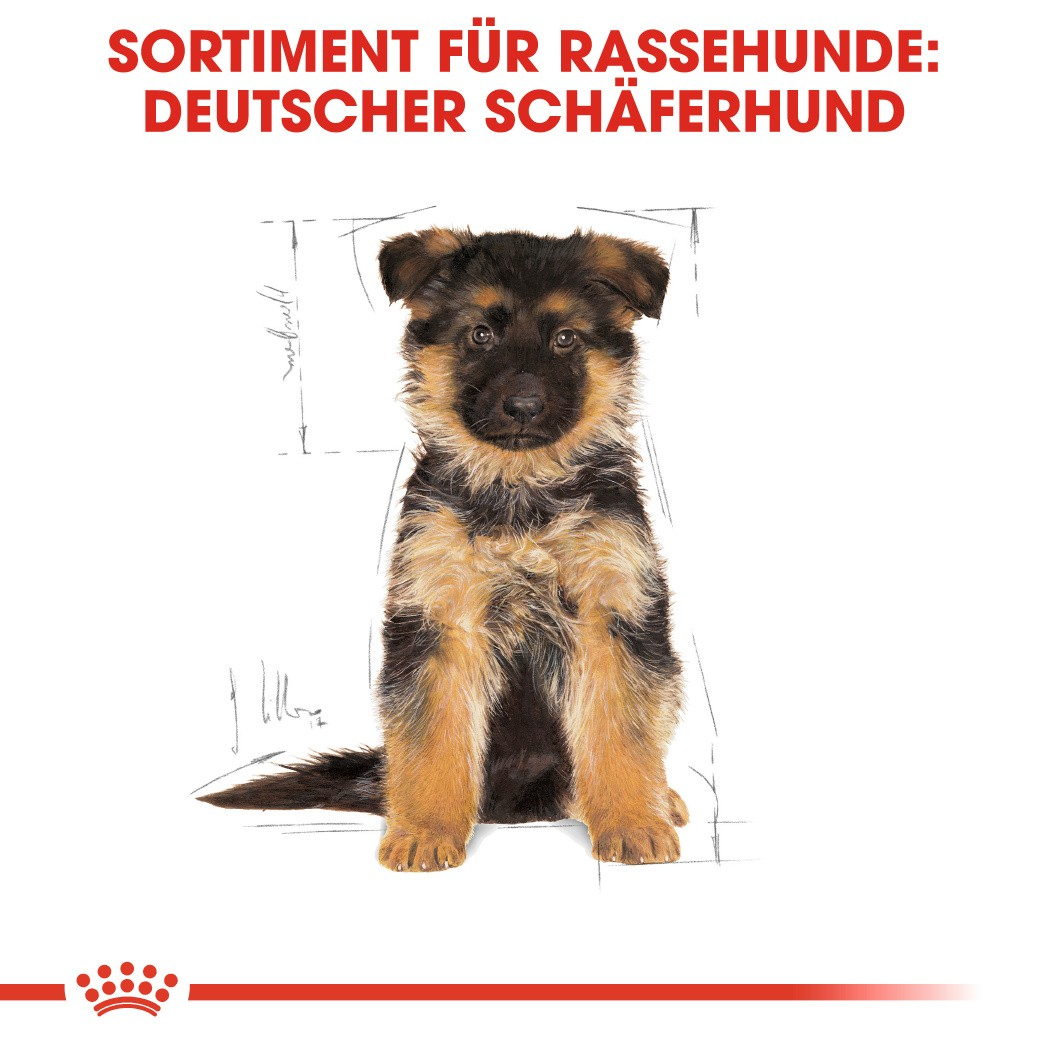 Royal Canin Breed German Shepherd Puppy für Deutsche Schäferhunde