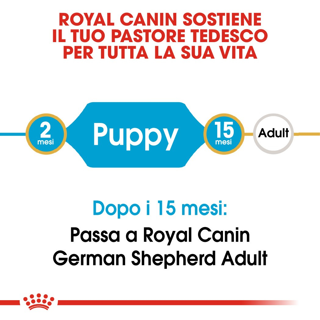 Royal Canin Breed Pastore tedesco Junior