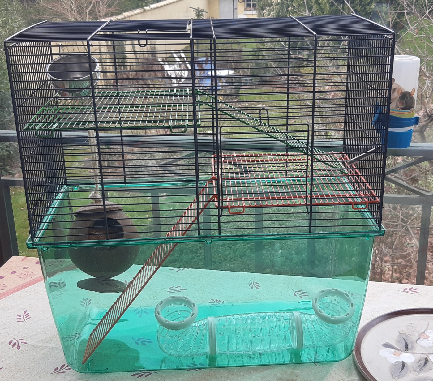 Cage Qute pour hamsters et gerbilles