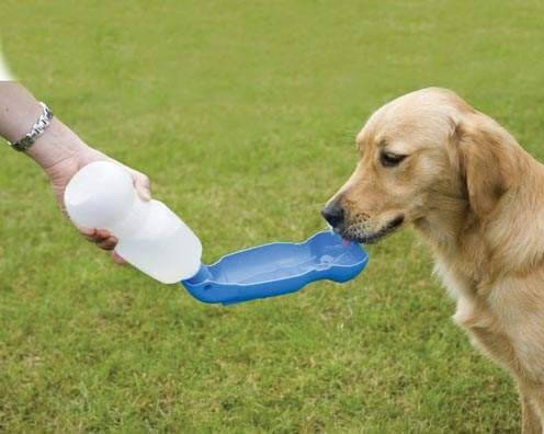Drinkfles voor honden Aquaboy