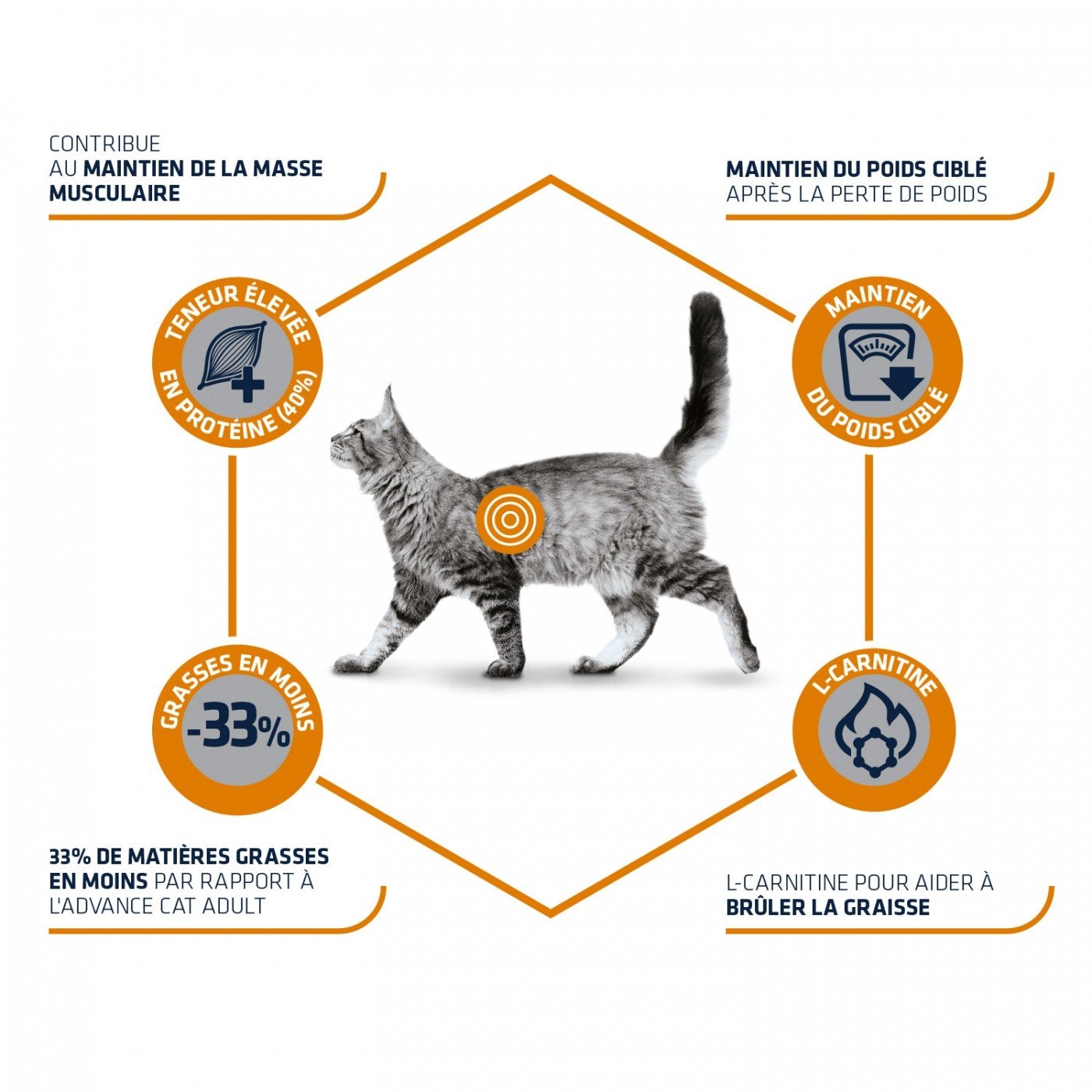Advance Veterinary Diets Weight Balance per gatti in sovrappeso