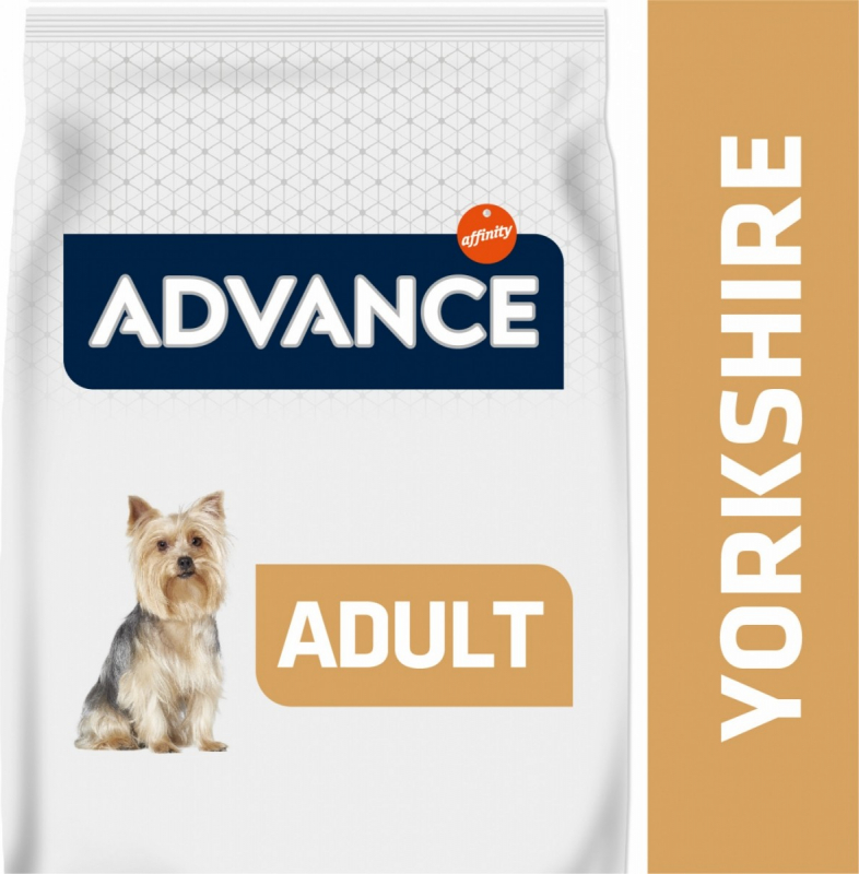 Advance Yorkshire Terrier Adult