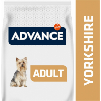 Advance Yorkshire Terrier Adult