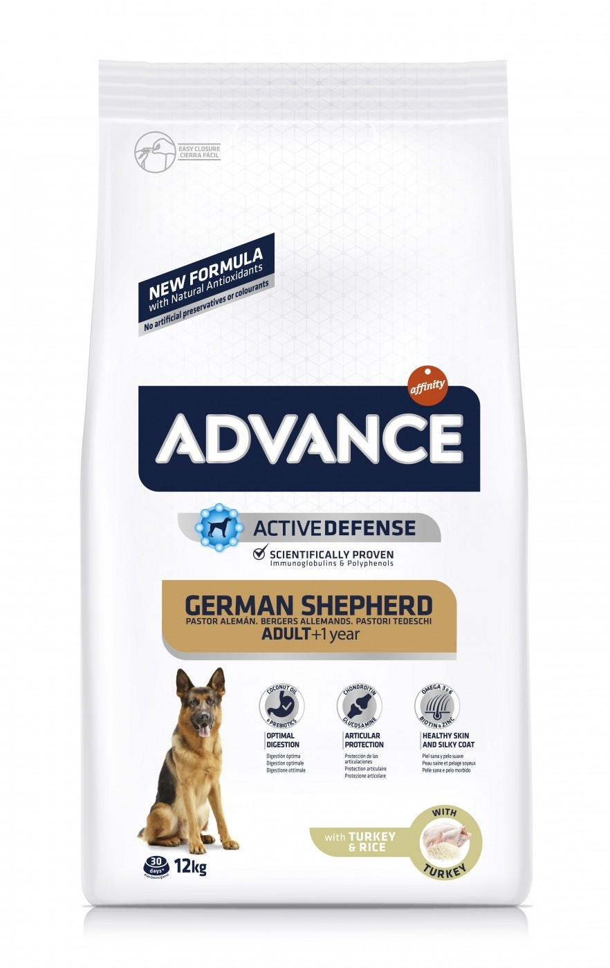 Advance German Shepherd Adult