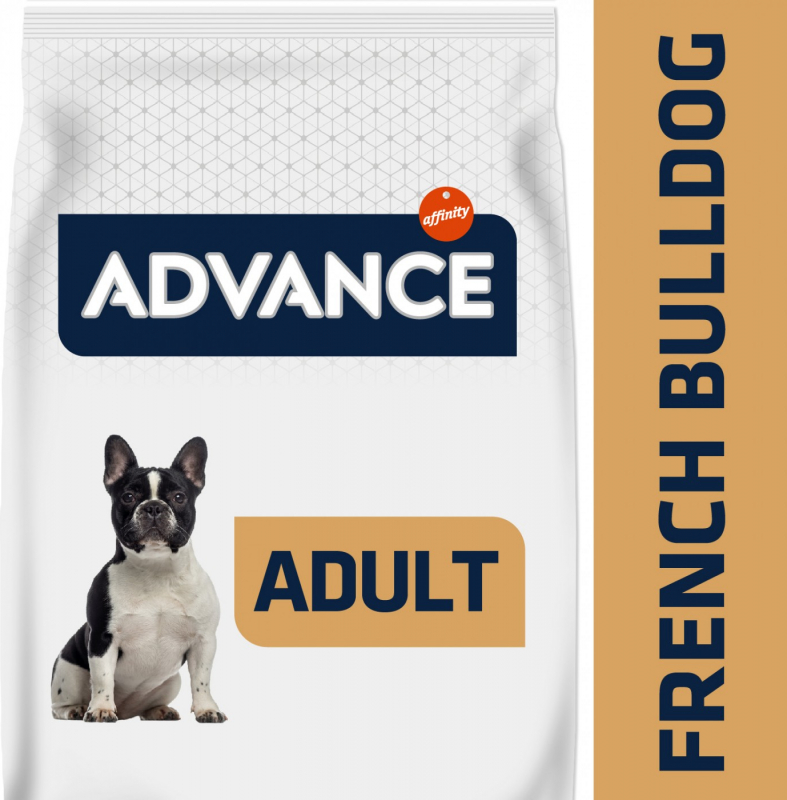Advance French Bulldog Adult
